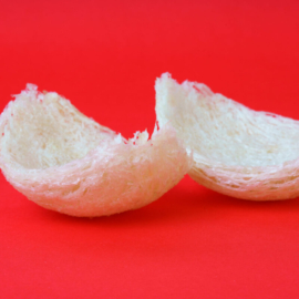 Fresh edible bird's nest on red paper