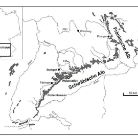 tai-sao-o-chau-au-troi-toi-muon-1734099498