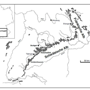 tai-sao-o-chau-au-troi-toi-muon-1734099498