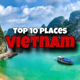 top-10-hoc-sinh-gioi-nhat-viet-nam-1733821593