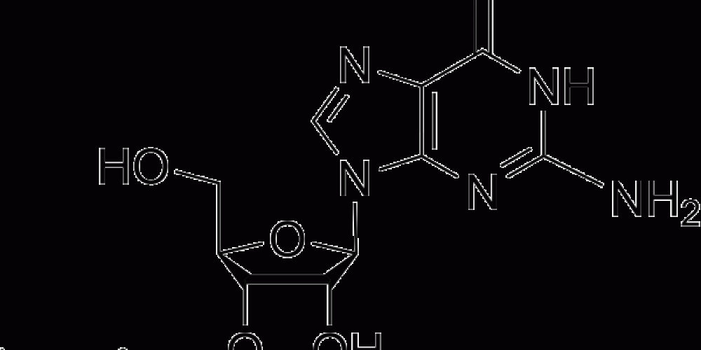 vi-sao-loai-a-nay-cung-co-o-1734542368